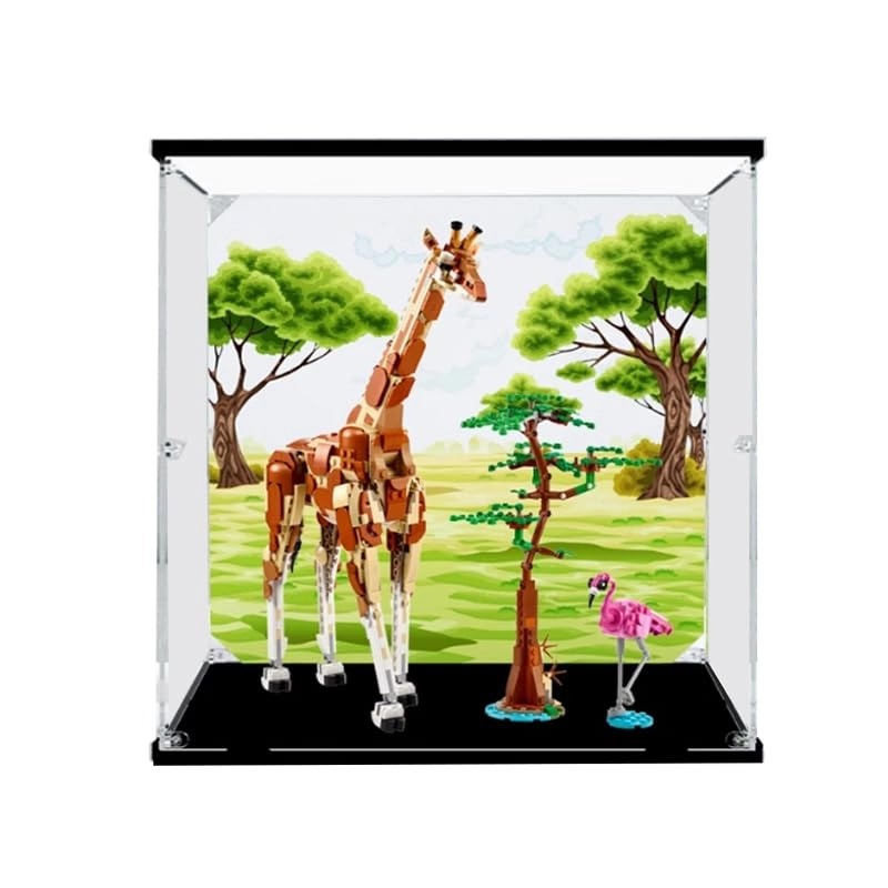 HCAEIOFJ Clear Acrylic Display Case - 13.77x13.77x13.77in. Background+top Light