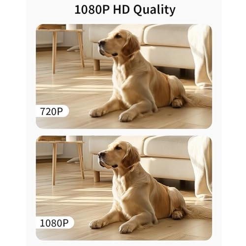 Dual Lens Security Camera 1080P