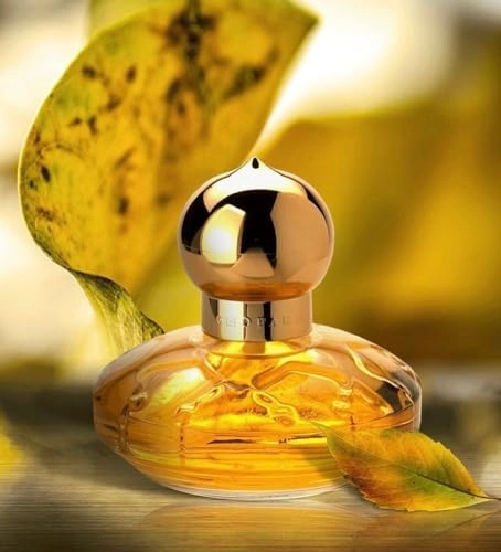 Casmir Eau de Parfum 100ml