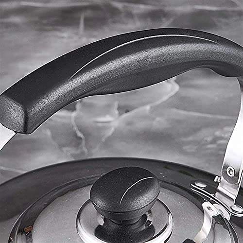 Whistling Kettle - 4-7.5L