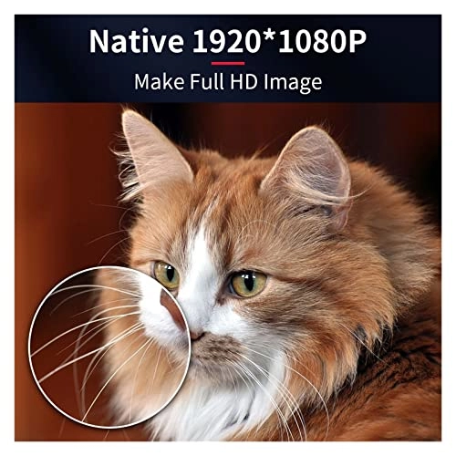 Projector - 12000 Lumens Native 1080P