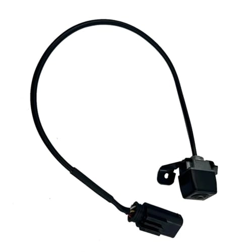 Rear View Camera - Night vision