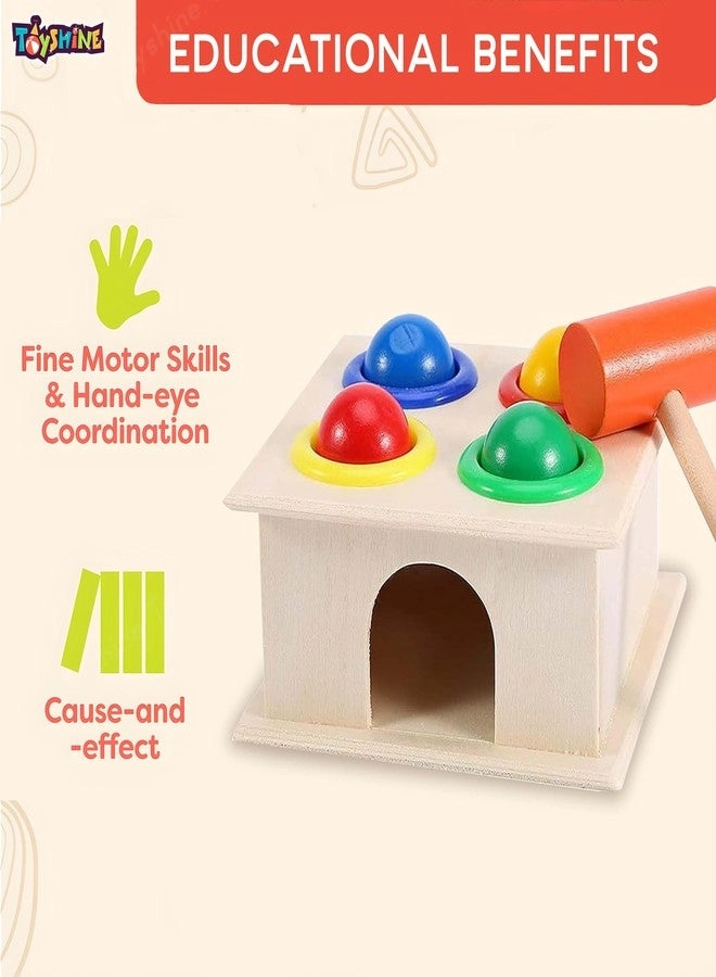 Wooden Ball Hammer Pound Shape Sorter - 5 pieces