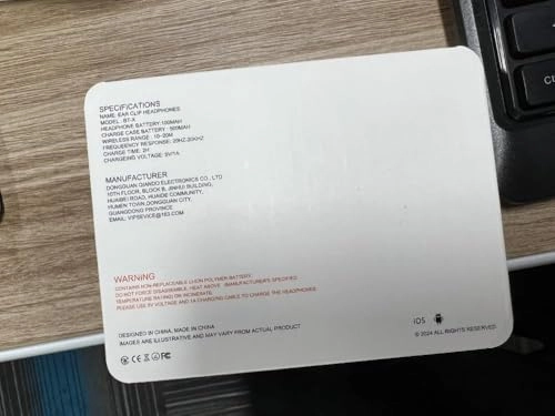 BT-XEASY Wireless Earbud