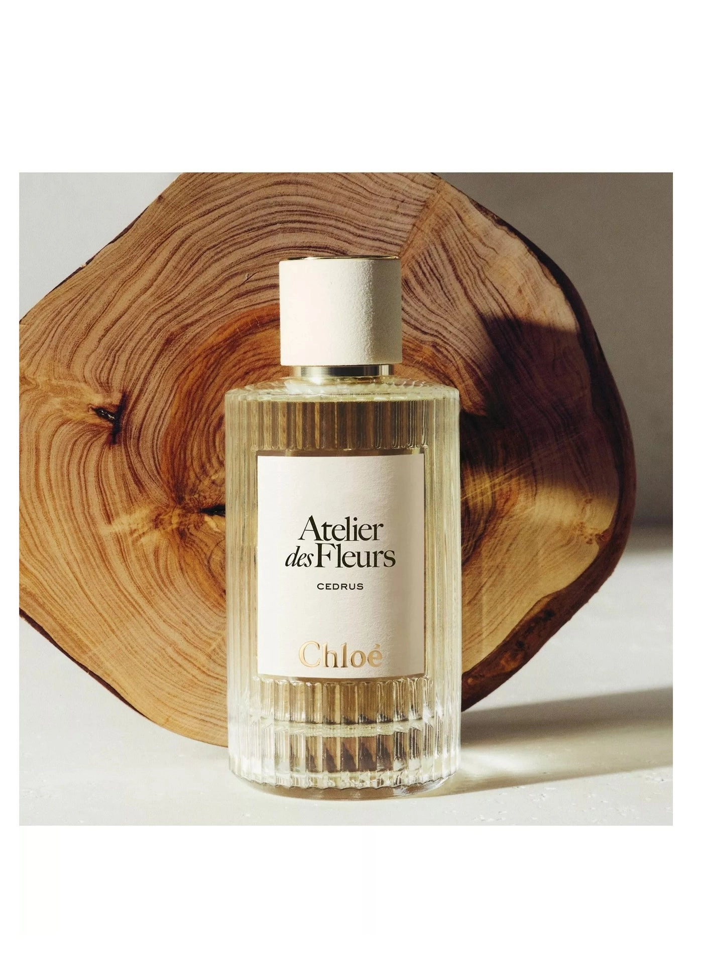 Cedrus Eau de Parfum 50 ml