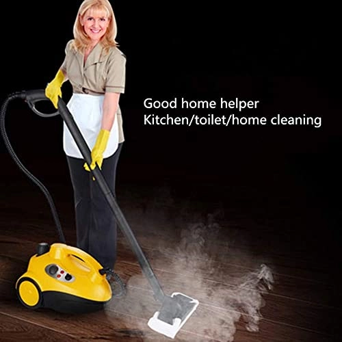 Multi-Function High Pressure Steam Cleaners - 4.5Bar 2L
