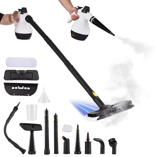 Steam Cleaner - 55PSI 350ML