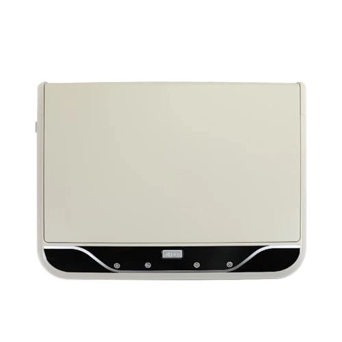 Roofmount LCD Monitor - 19in