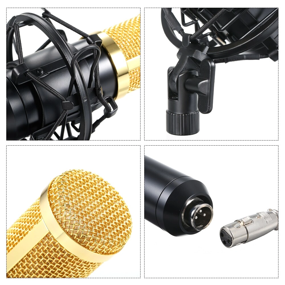 BM800 Wired Microphone