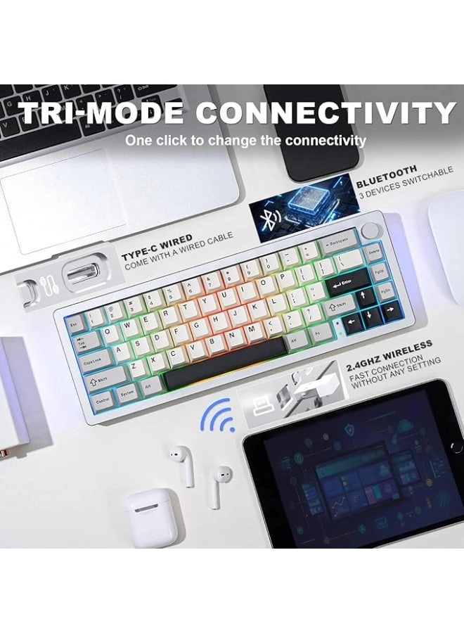 AL66 - 65% Wired/Wireless