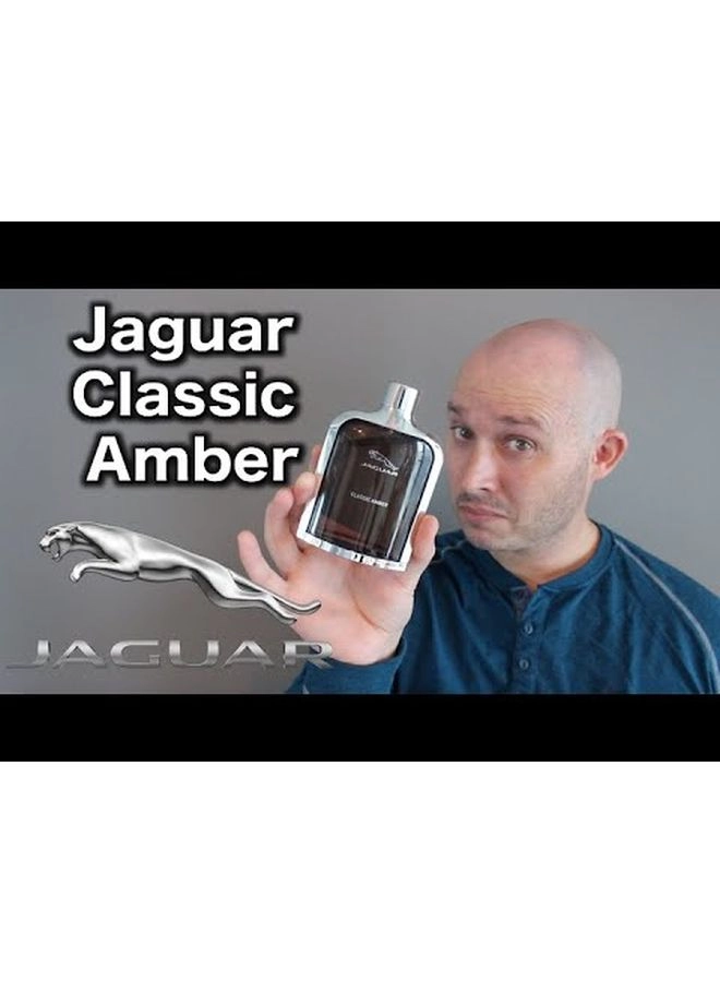 Classic Amber Eau de Toilette 100ml