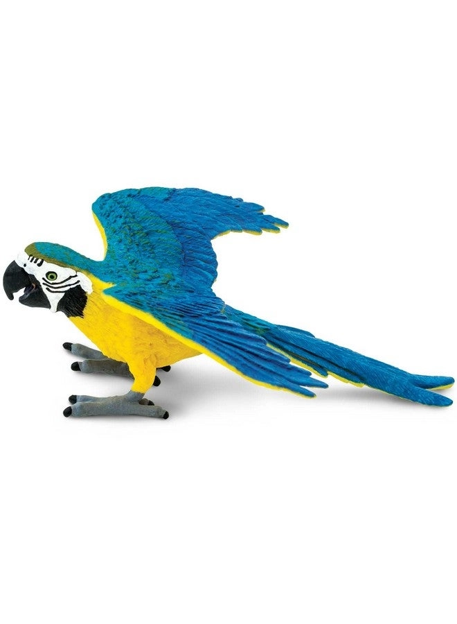 Safari Ltd Blue and Gold Macaw Figurine - 4.5" Plastic Bird
