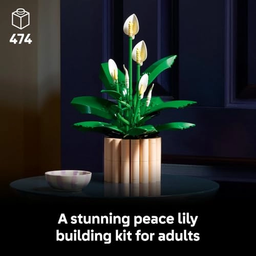 Peace Lily (11504)