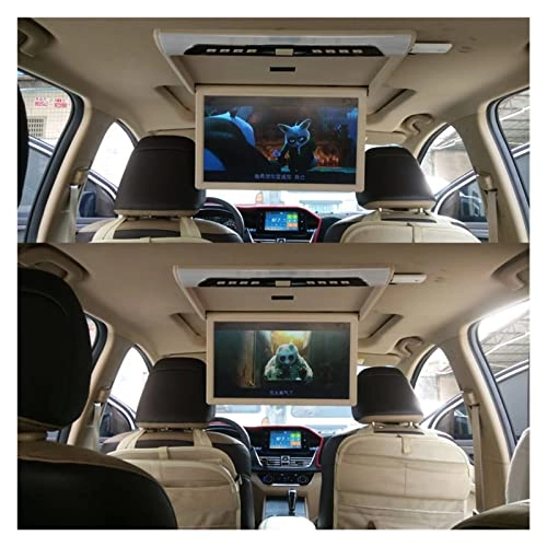 Car Screen - 19 inch