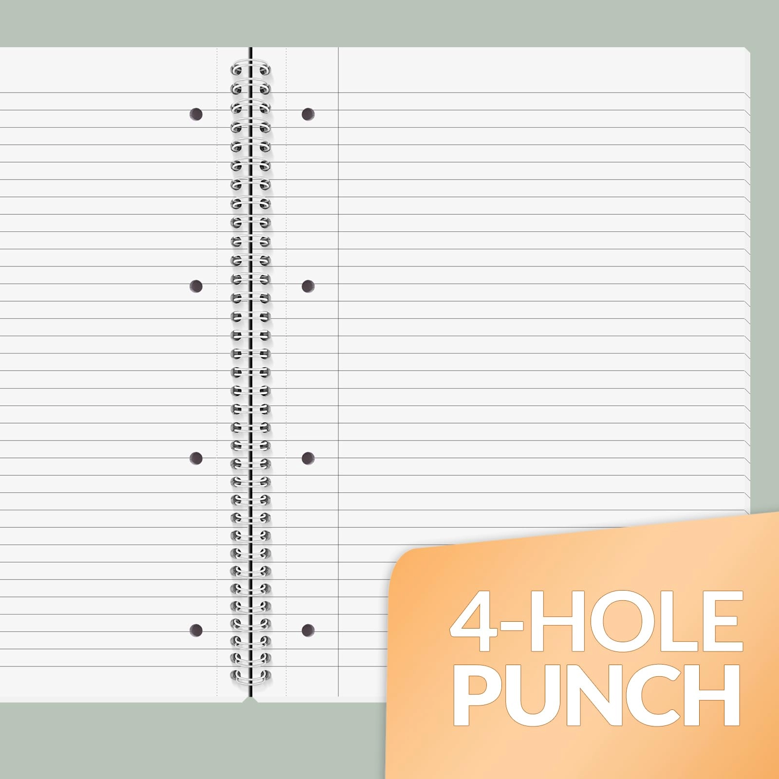Notebook A4 Spiral - Lined 100 Sheets