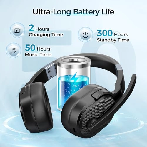 BH654A Wireless Headset