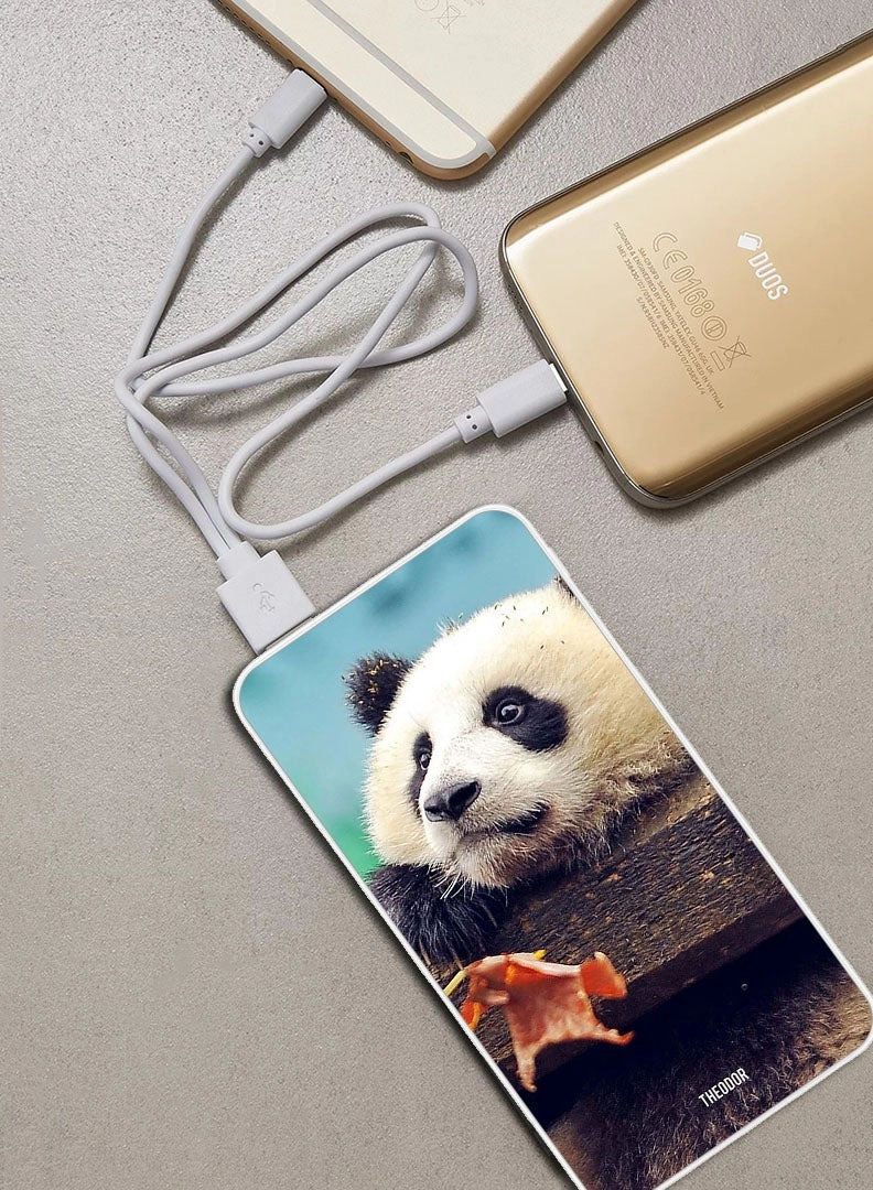 EX_PPBA498 - 10000 mAh 18W