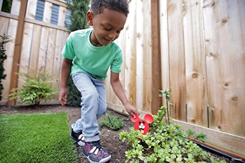 Mickey Mouse Hidden Mickeys - Multicolour