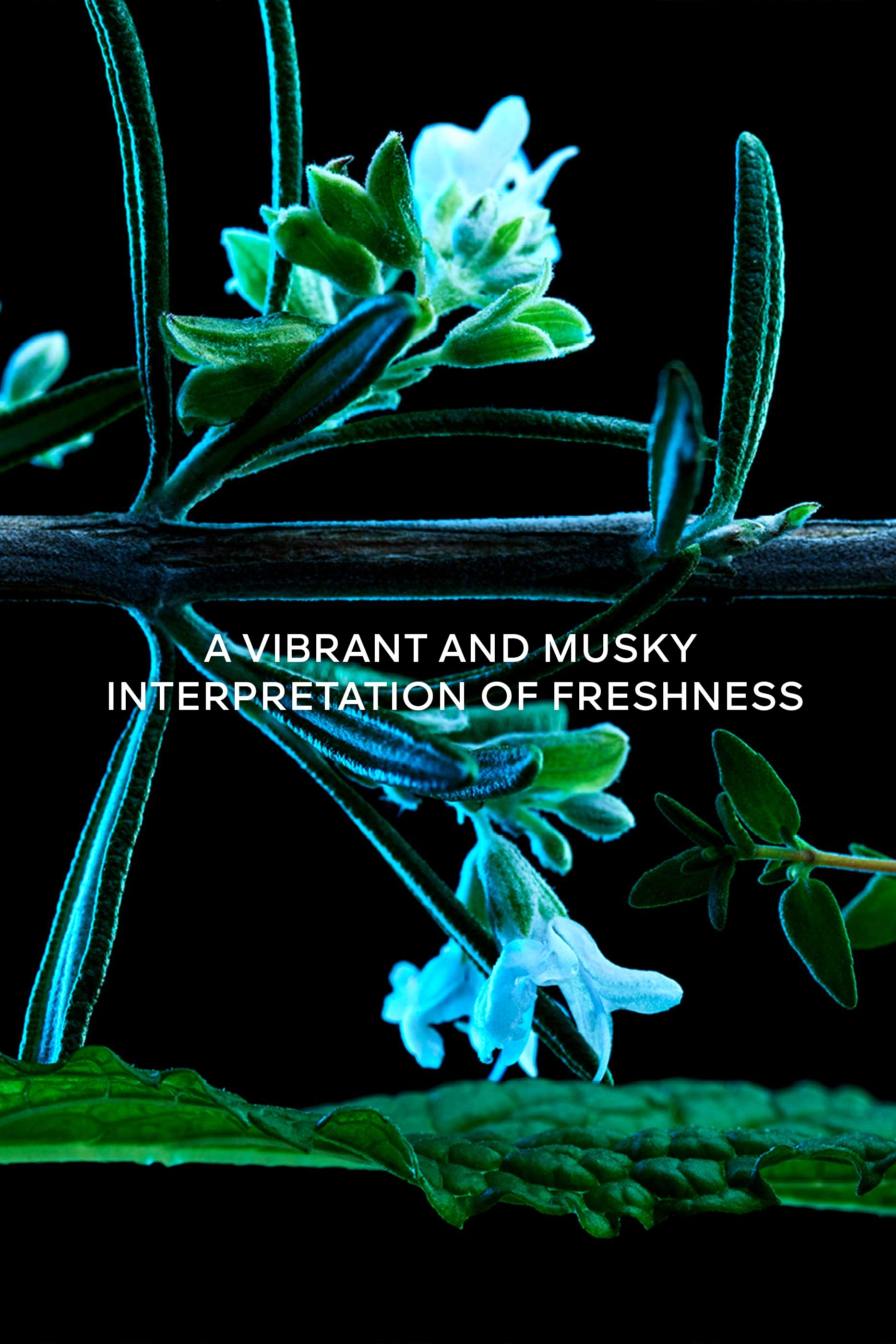 Herbes Troublantes Eau de Parfum 200ml