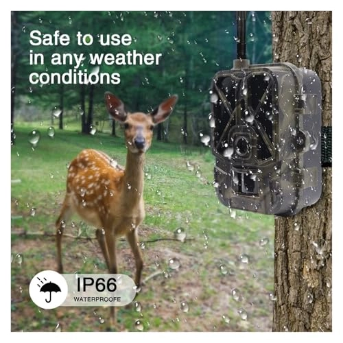 Hunting Camera Dual Lens - 5MP