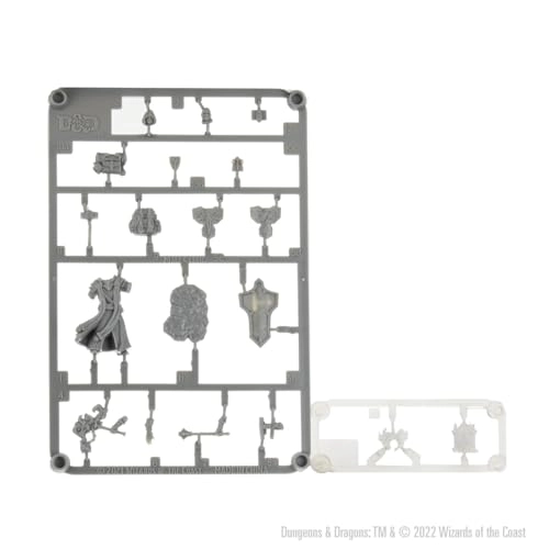Human Cleric Male - D & D Frameworks W1 - 14 years 1 piece