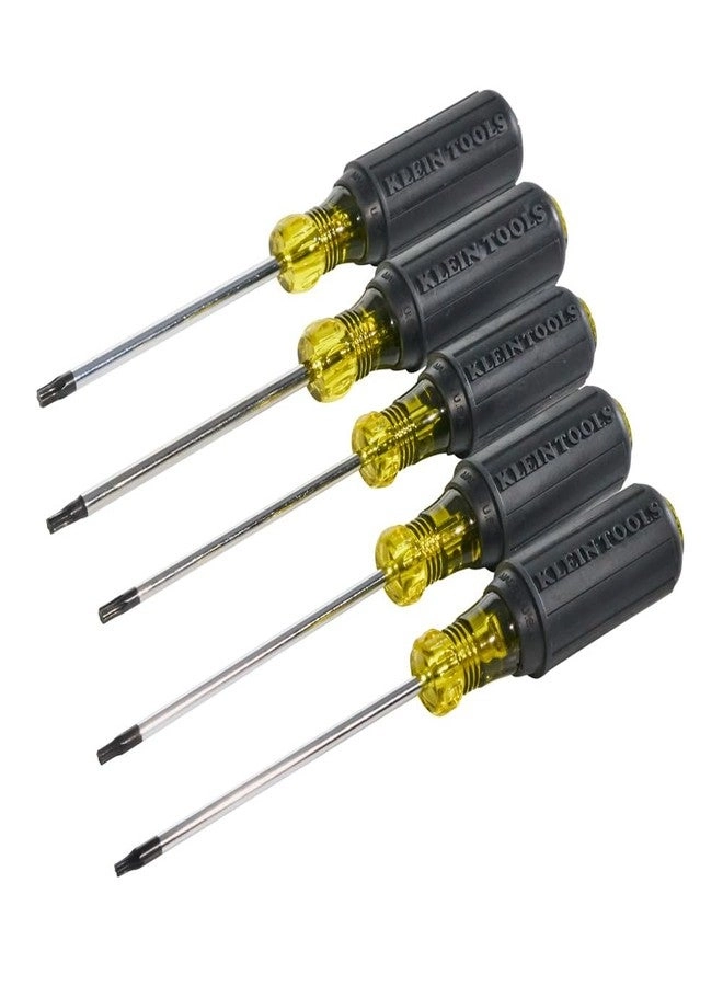 19555 Torx Screwdriver Set (5 Pcs)