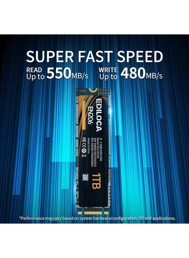 EN206 - 1TB M.2 2280