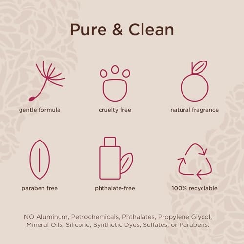 Pure Vanilla Eau de Parfum 50ml