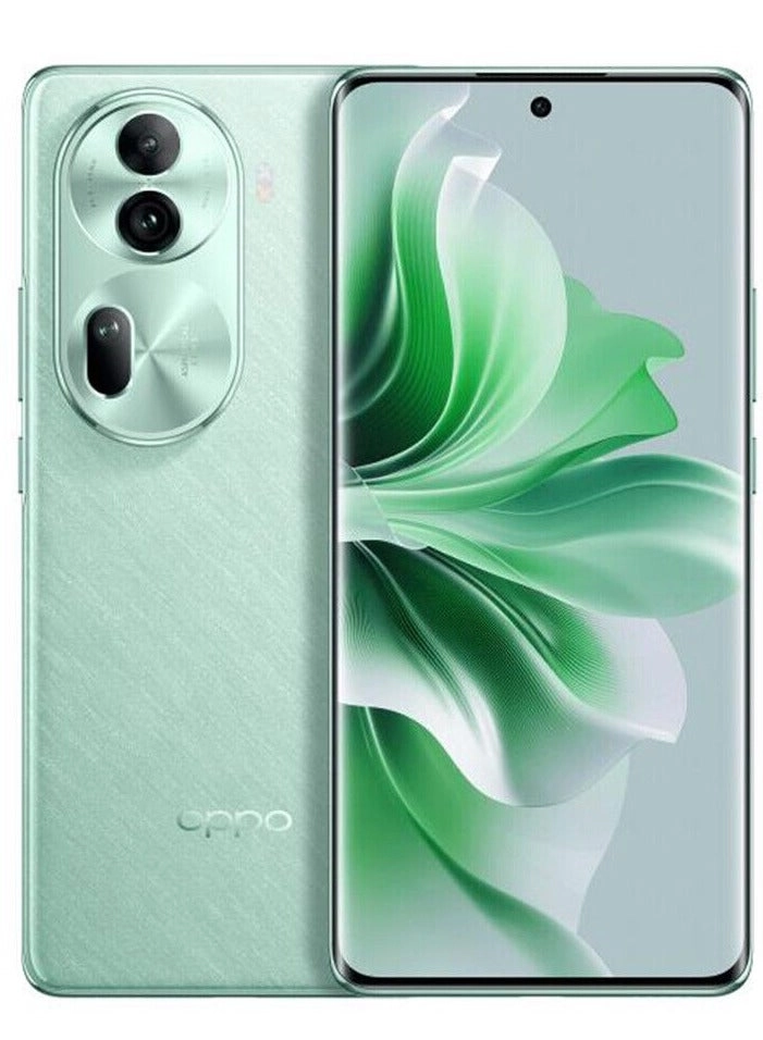 Reno 11 12GB 256GB