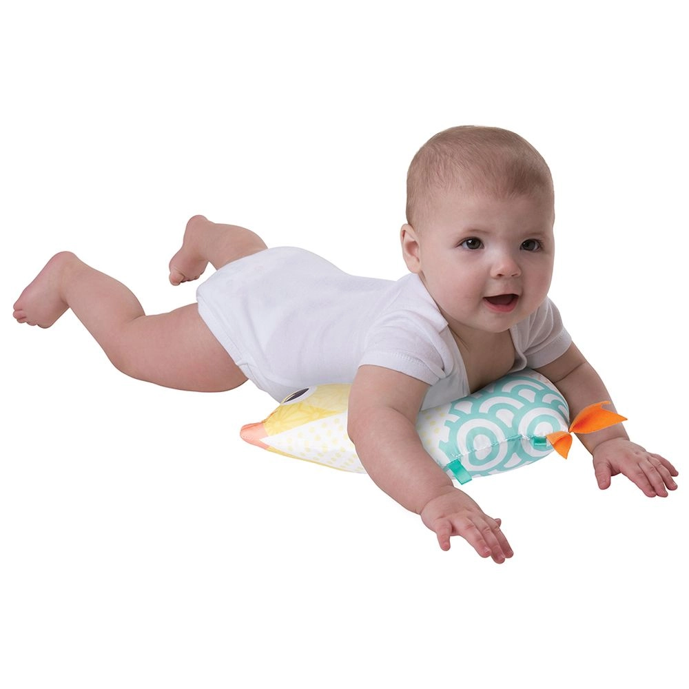 Zen Garden - Suitable for 0 month & above