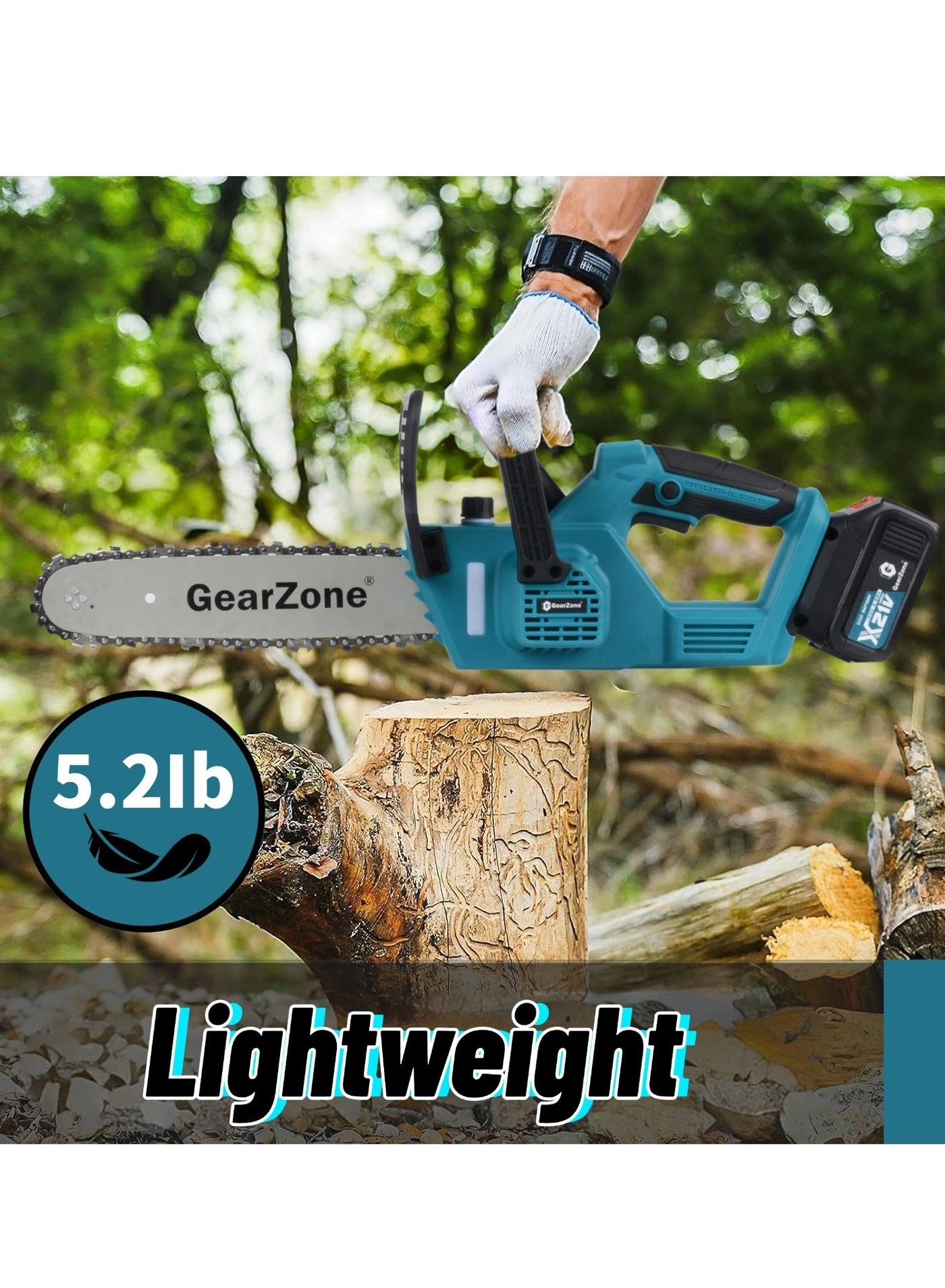 yy009-pt - 12-Inch 21V