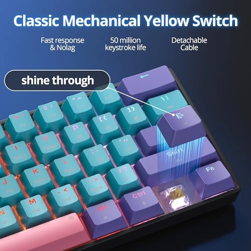 60% Wireless Mechanical Keyboard -  Wired/Wireless