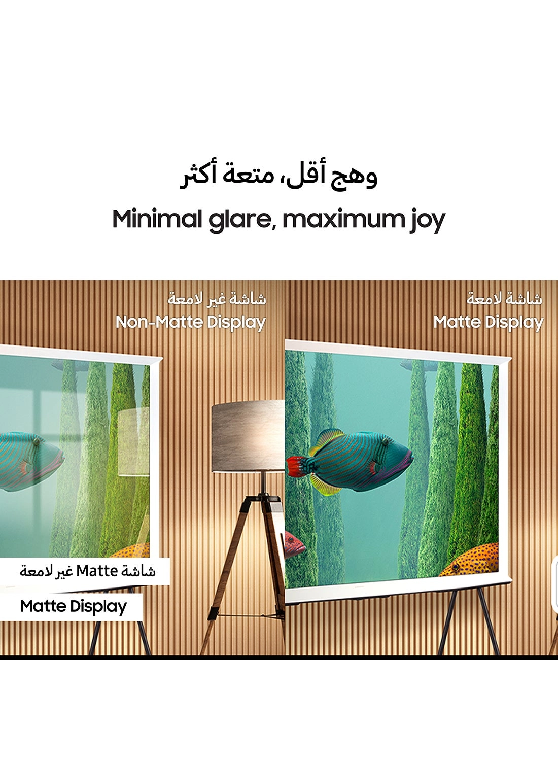 QA55LS01DAUXZN - 55 inch