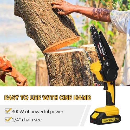 Cordless Chain Saw