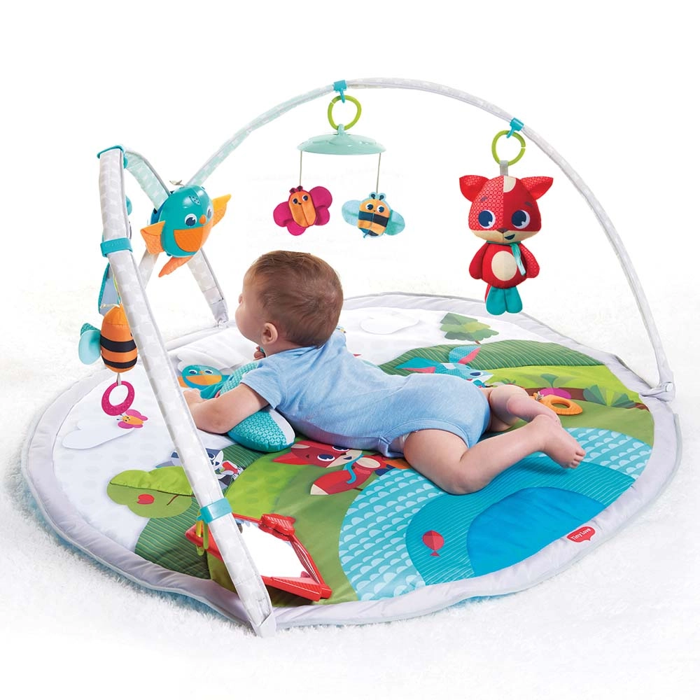Dynamic Developmental Activity Playgm - 0 month