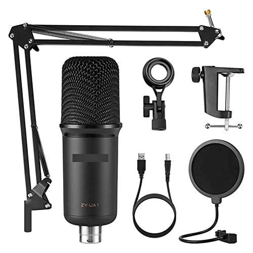 ss1/i46574 USB Microphone