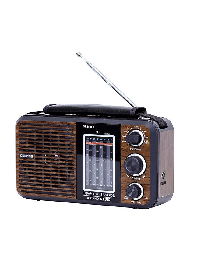 GR6836BT - FM Radio