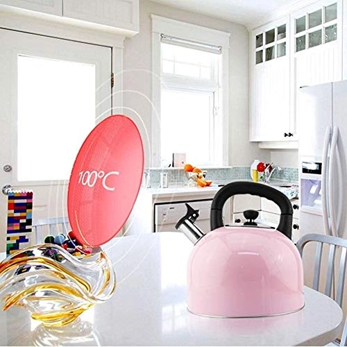 Tea Kettle - Stainless steel