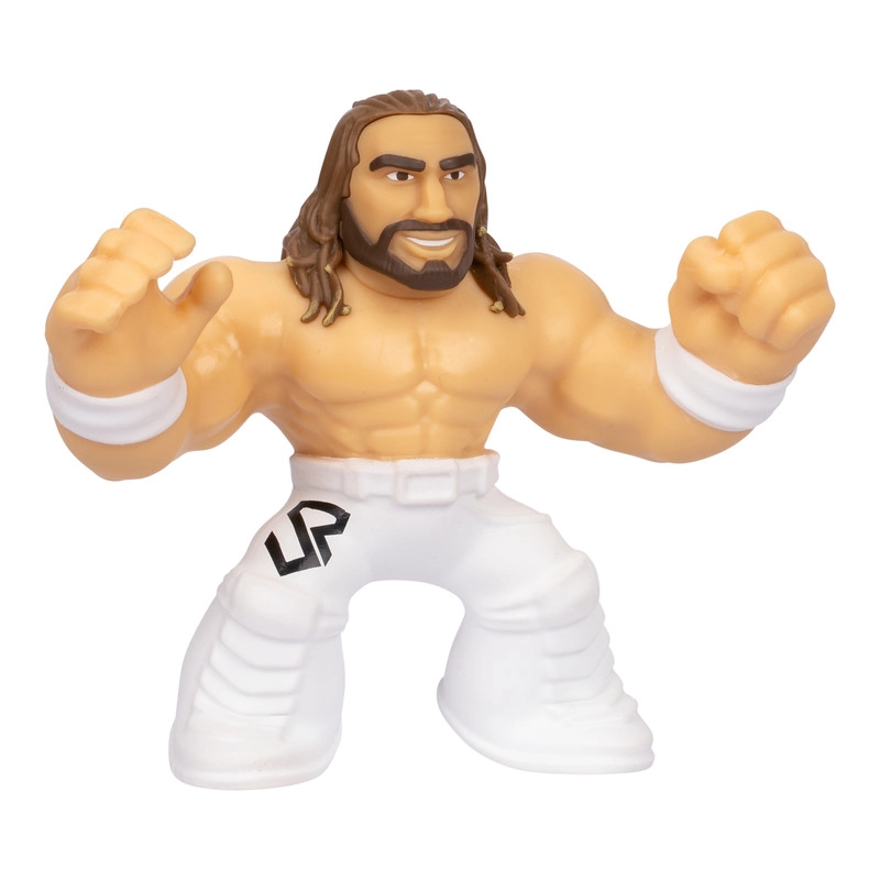 WWE - Seth Freakin Rollins (37313669-43010)