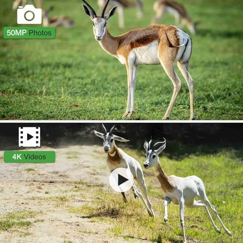 Keensox3se4f2tby - 36MP