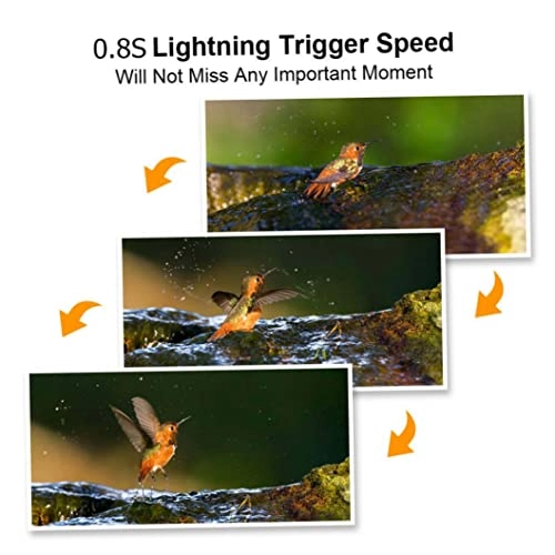 Mini Trail Camera - Camouflage Night Vision