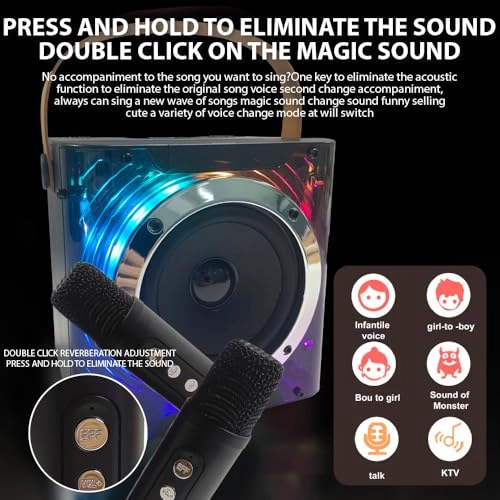 Karaoke Machine - 2 15W