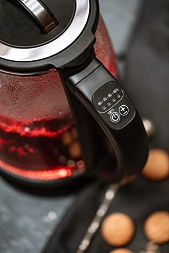 Temperature Control Electric Kettle