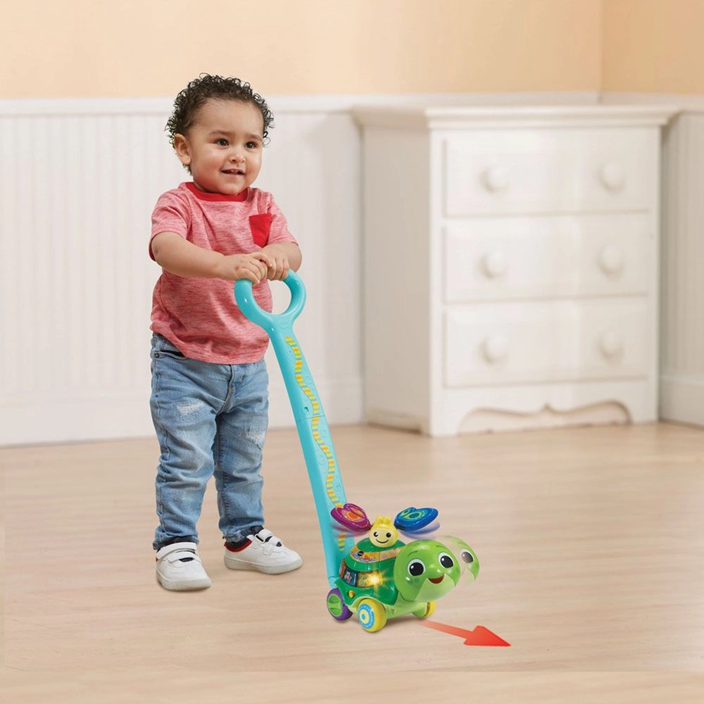 Push & Discover Turtle