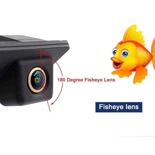 Rear View Camera - Wired