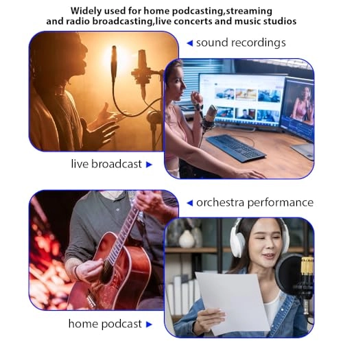 48V Power Supply XLR Microphone