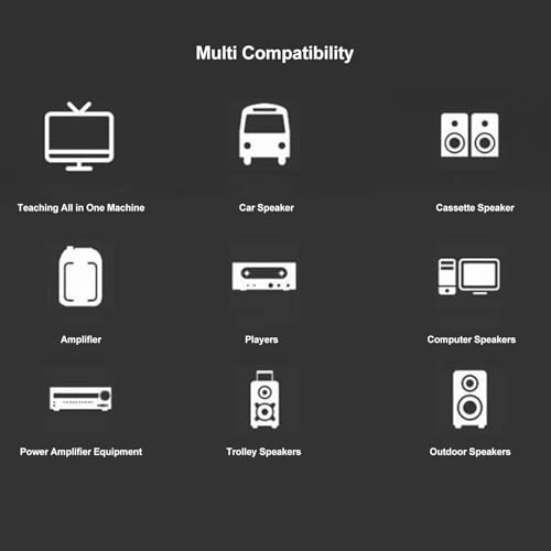 Wireless Microphone Headset - 2 x Microphone 2.4g