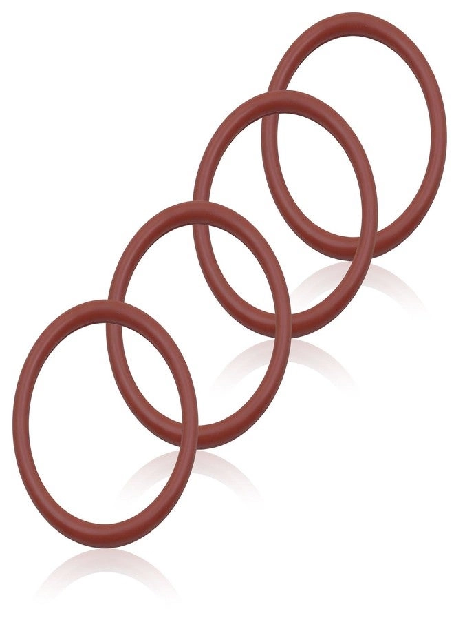 RuiQalith Brew Assembly O-Ring Seal