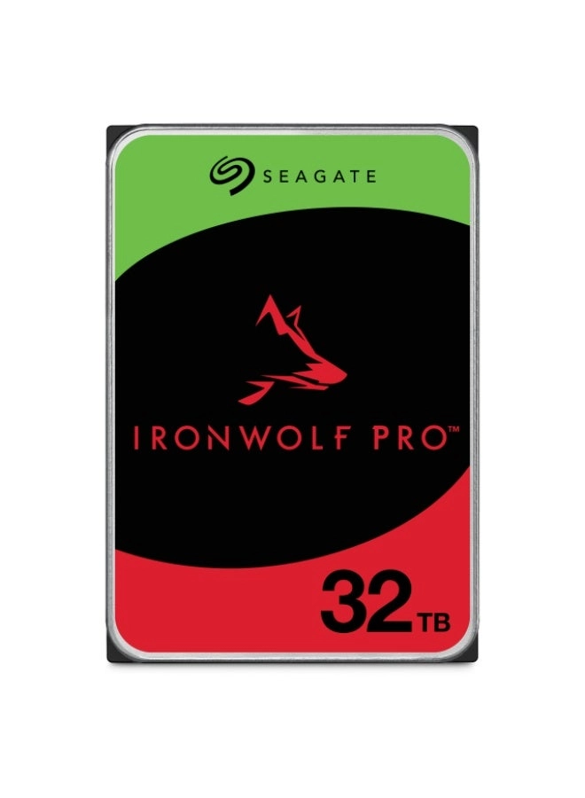 Seagate IronWolf Pro 1-Bay 32TB