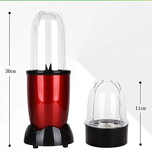 Mini Juicer - 300W 500ml